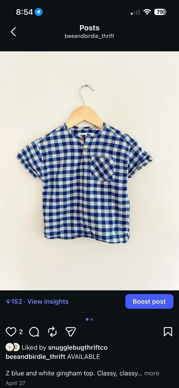 Zara Kids Blue and White Gingham Button-Front Shirt